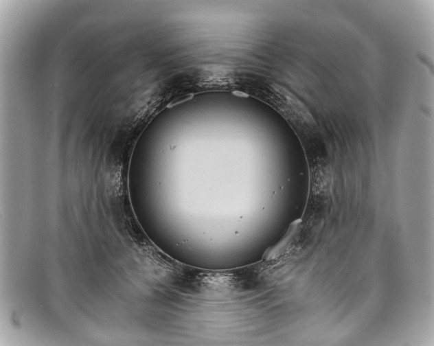 X0000098040560200804111349