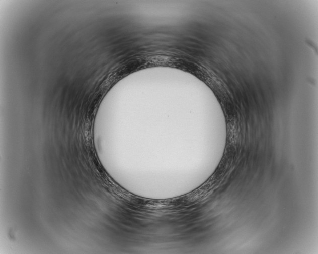 X0000098040561200804111349