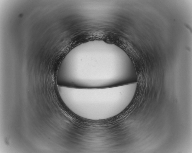 X0000098040564200804111349