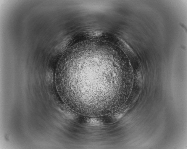 X0000098040565200804111349