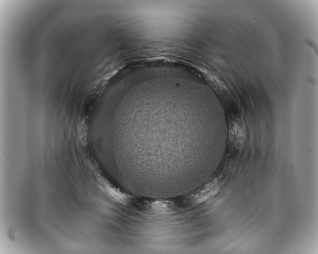 X0000098040566200804111349