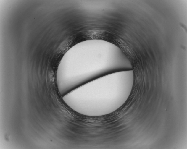 X0000098040571200804111349