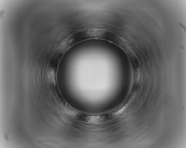 X0000098040575200804111349