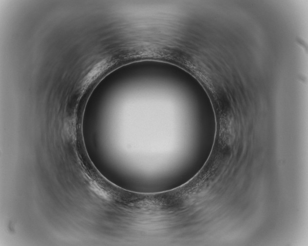 X0000098040578200804111349