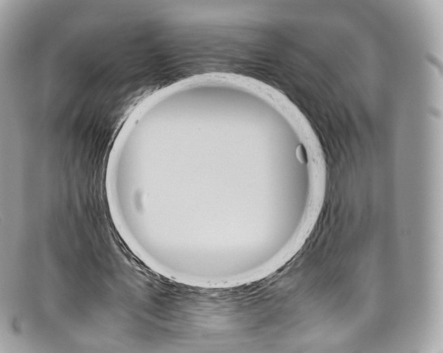 X0000098040579200804111349
