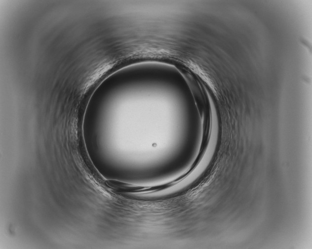 X0000098040581200804111348