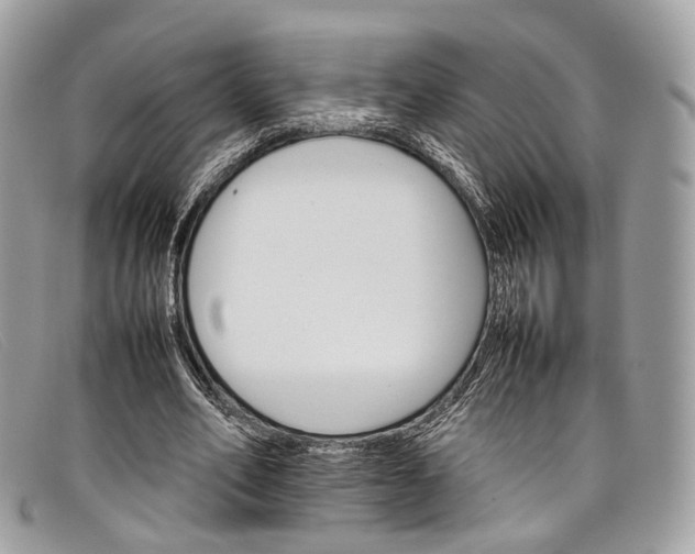 X0000098040582200804111348