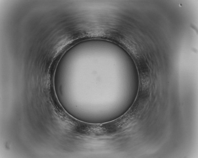 X0000098040583200804111348