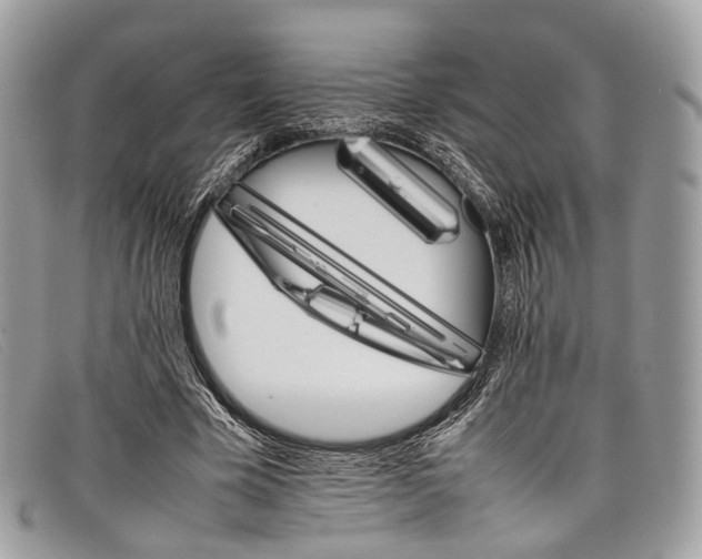 X0000098040585200804111348