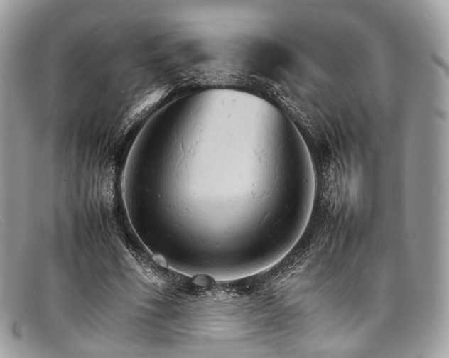X0000098040586200804111348