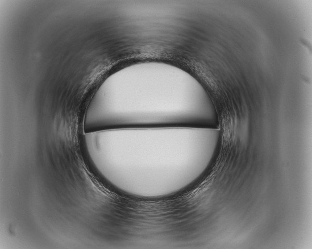 X0000098040588200804111348