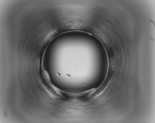 X0000098040589200804111348