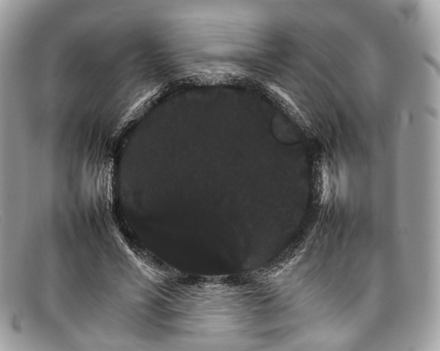 X0000098040590200804111348