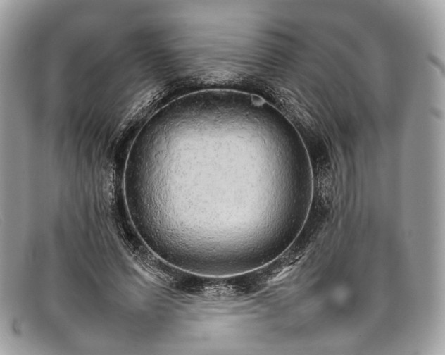 X0000098040591200804111348