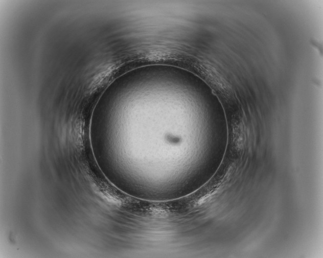 X0000098040592200804111348