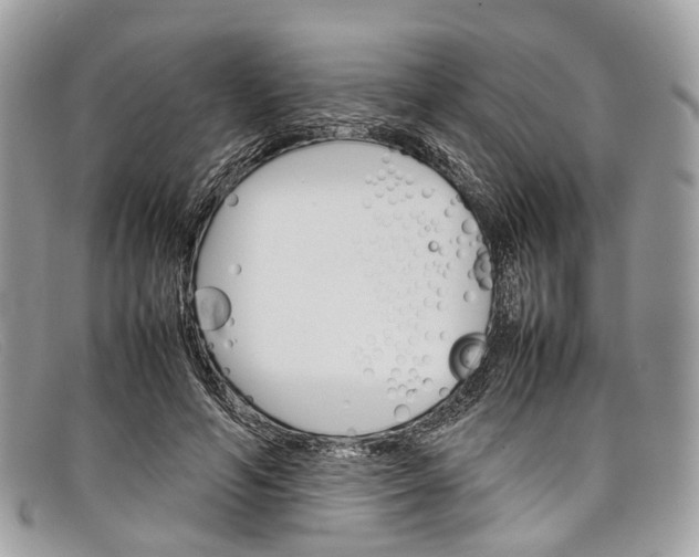 X0000098040594200804111348