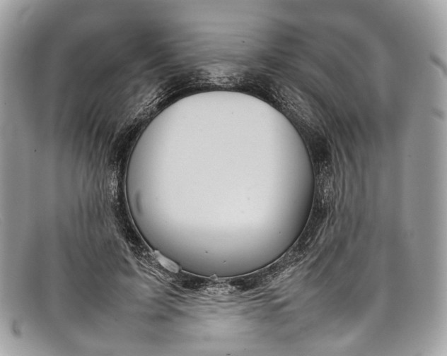X0000098040595200804111348
