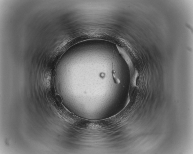 X0000098040596200804111348