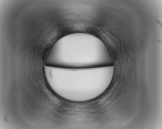 X0000098040597200804111348