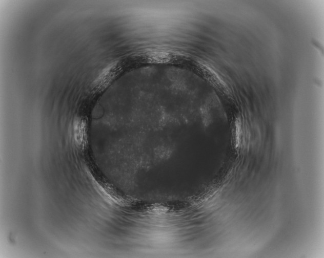X0000098040598200804111348