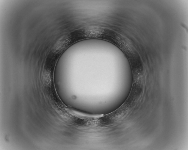X0000098040599200804111348