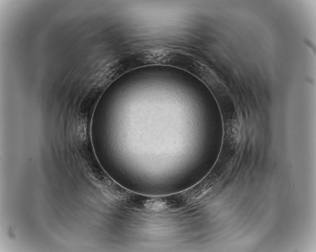 X0000098040602200804111348