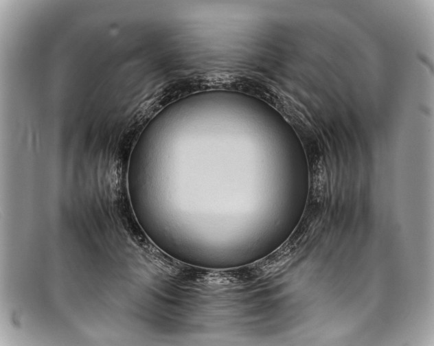 X0000098040608200804111348