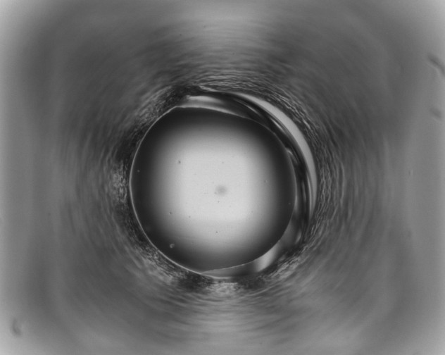 X0000098040609200804111348