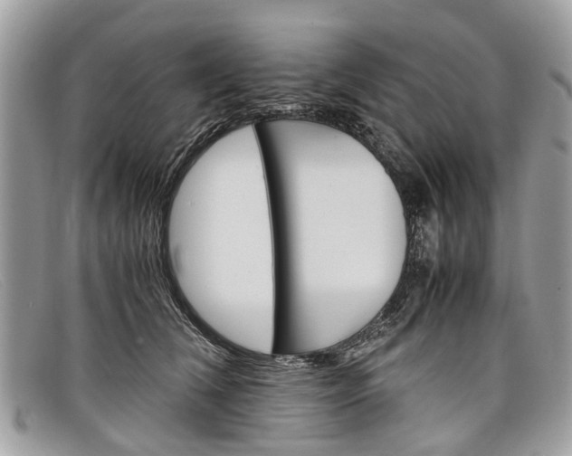 X0000098040612200804111348