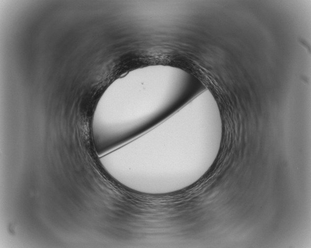 X0000098040613200804111348