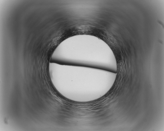 X0000098040615200804111348