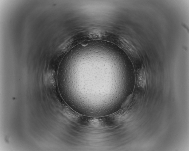 X0000098040616200804111348