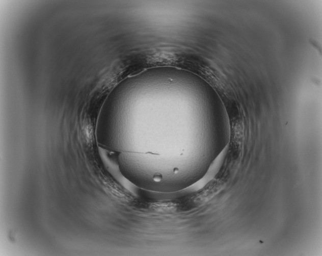 X0000098040617200804111348