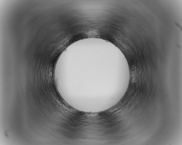 X0000098040618200804111348