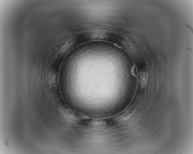 X0000098040619200804111348