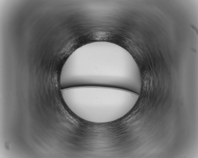 X0000098040620200804111348