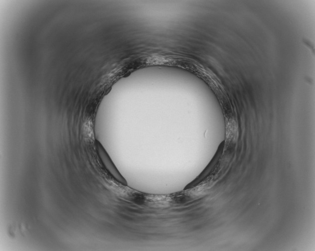 X0000098040621200804111348