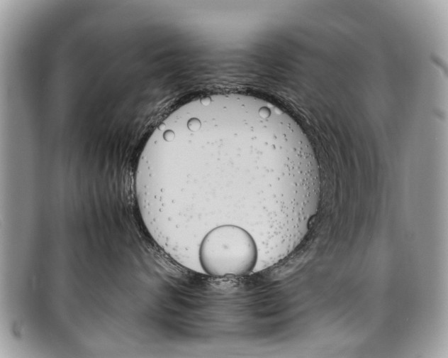 X0000098040624200804111348