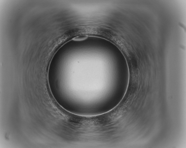 X0000098040625200804111347