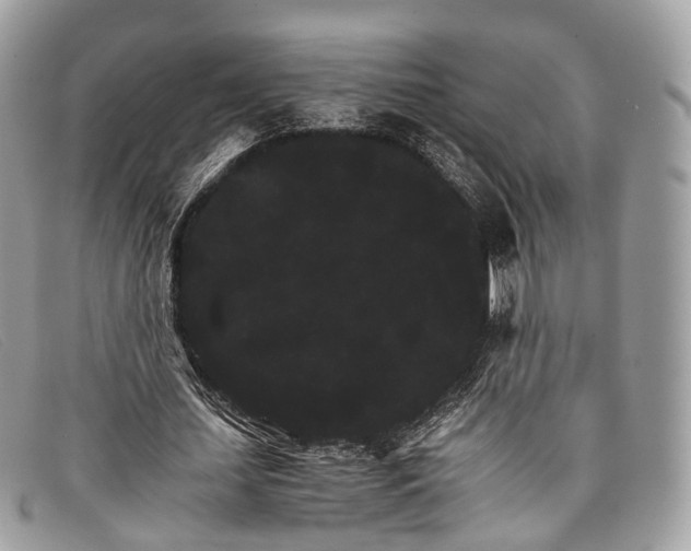 X0000098040627200804111347
