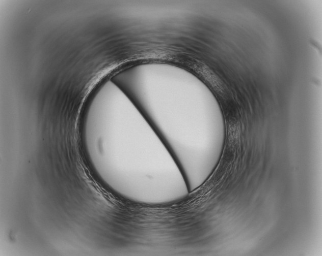 X0000098040628200804111347