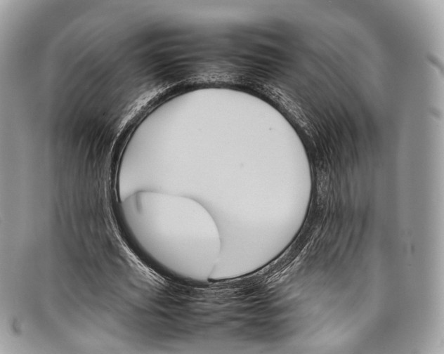 X0000098040629200804111347