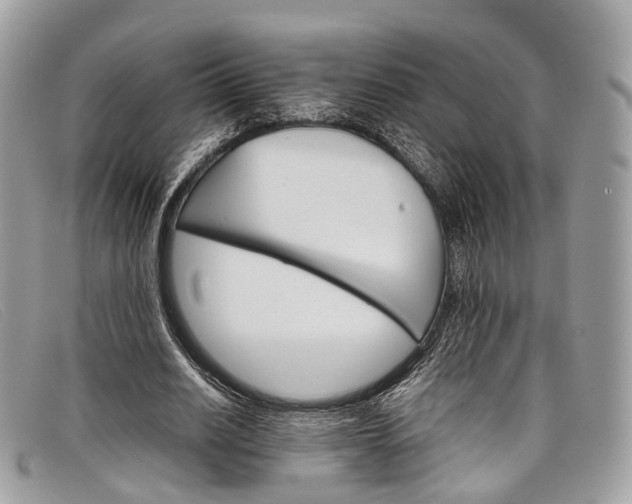 X0000098040630200804111347