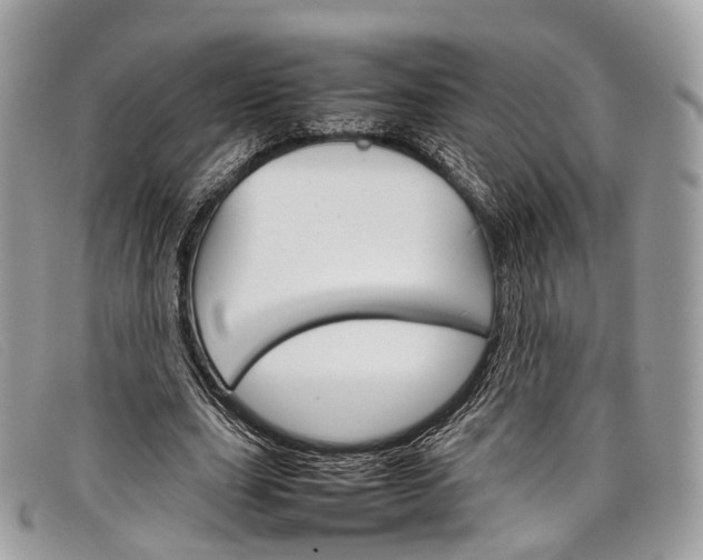 X0000098040631200804111347