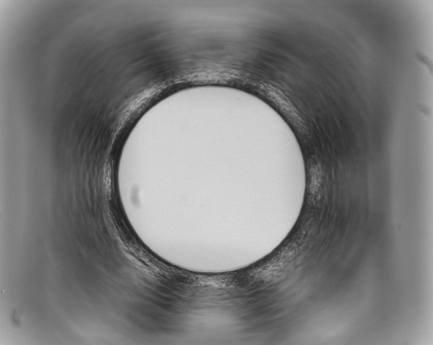 X0000098040632200804111347