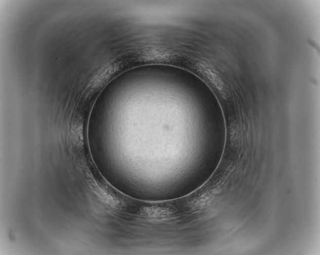 X0000098040633200804111347