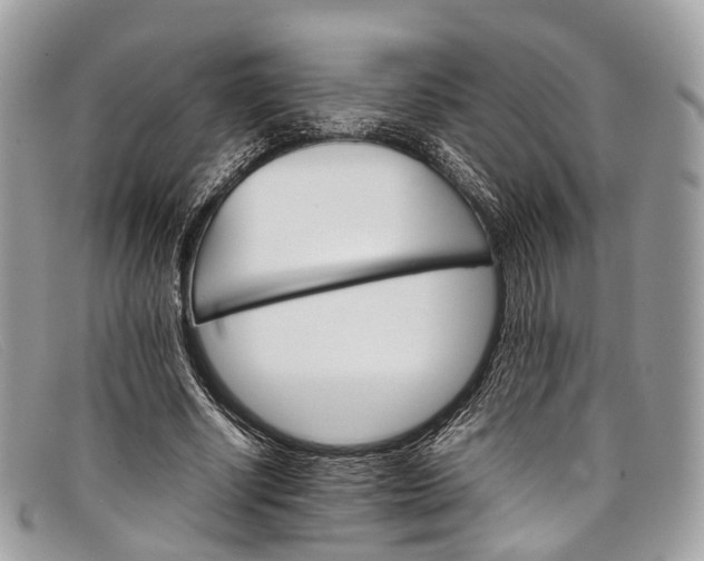 X0000098040634200804111347