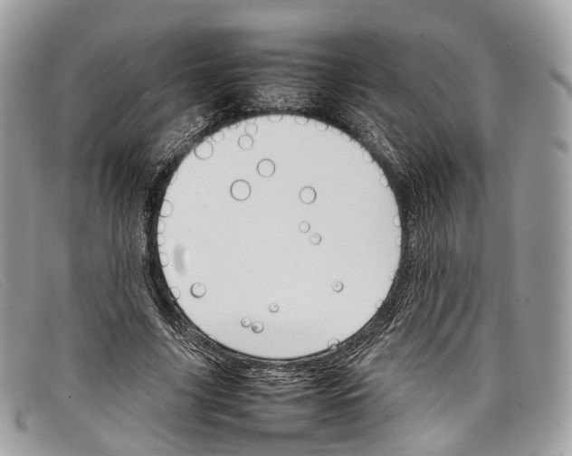 X0000098040635200804111347