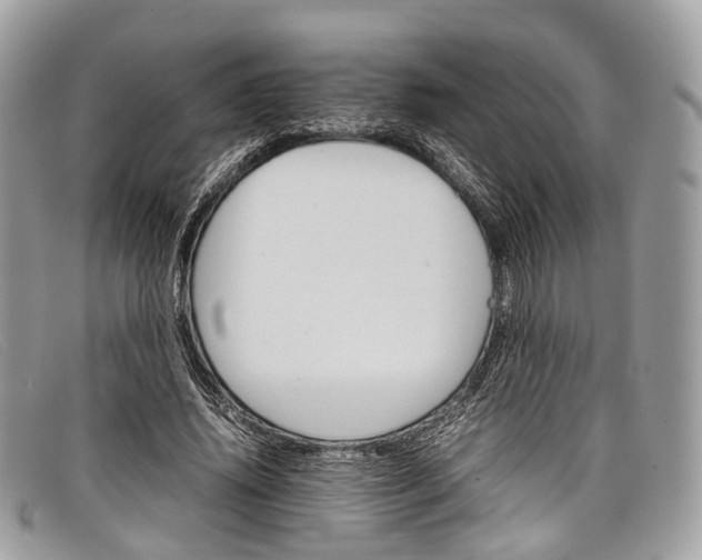 X0000098040636200804111347