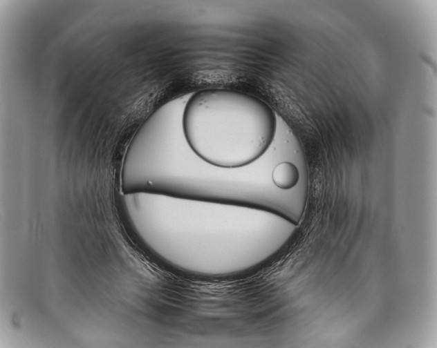 X0000098040639200804111347